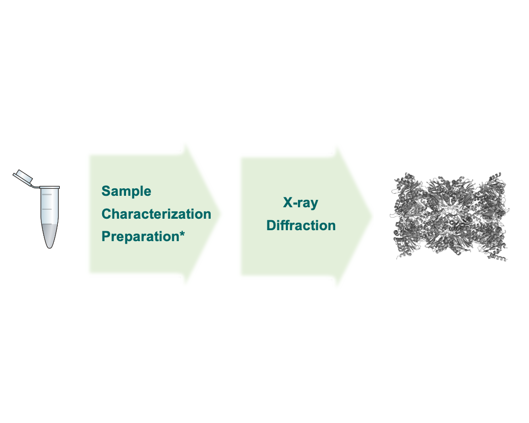 From Sample to X-ray Diffraction, Hamburg, EMBL